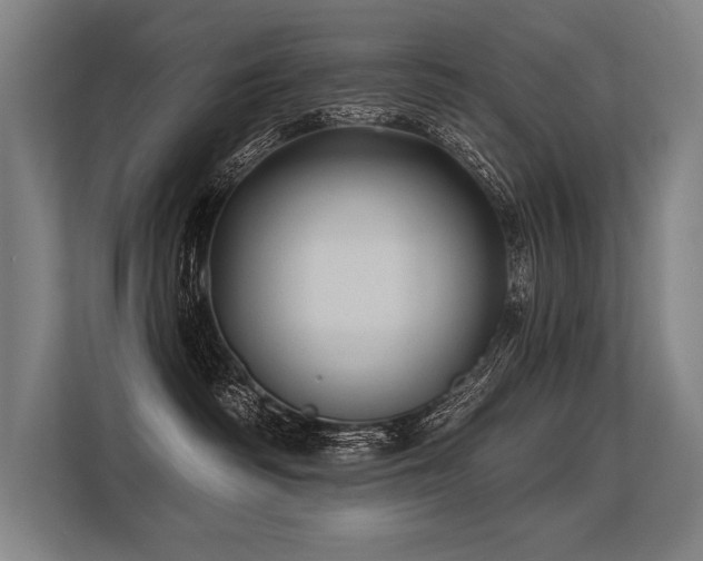 X0000113570334200909181252