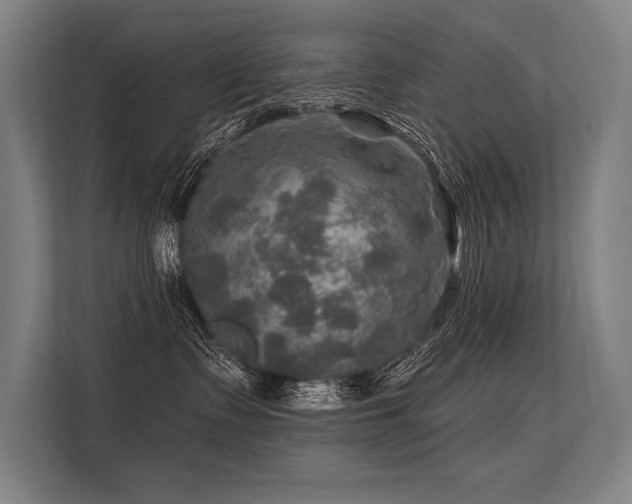 X0000113570335200909181252