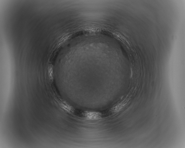 X0000113570336200909181252