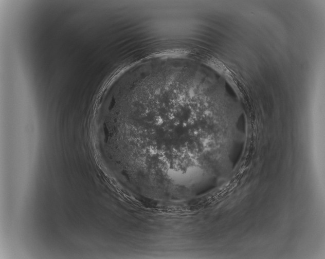 X0000113570337200909181251