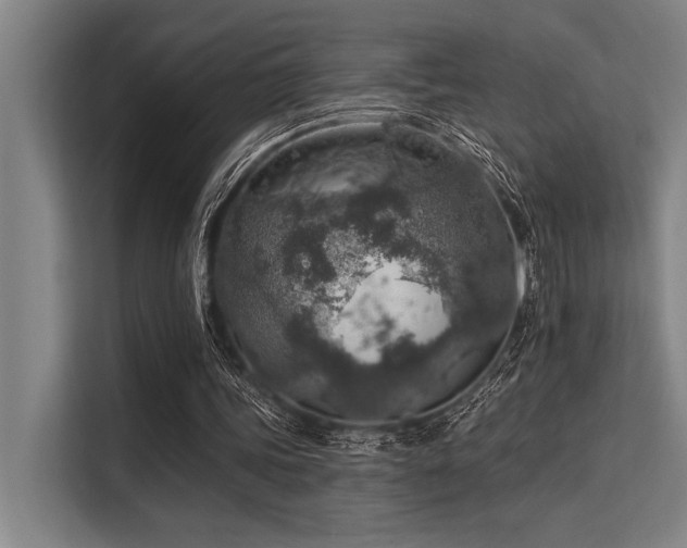 X0000113570339200909181251