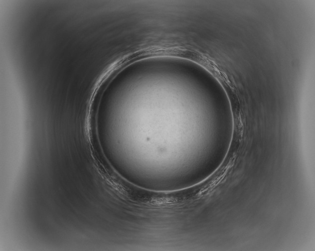 X0000113570340200909181251