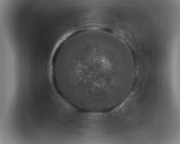 X0000113570342200909181251