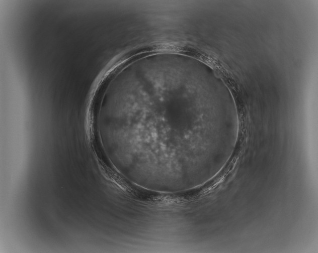 X0000113570343200909181251