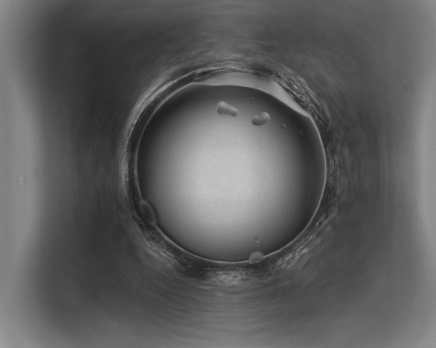 X0000113570344200909181251