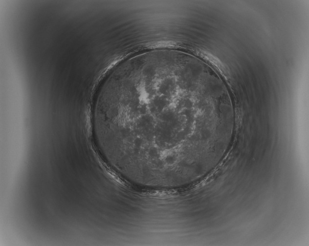 X0000113570345200909181251