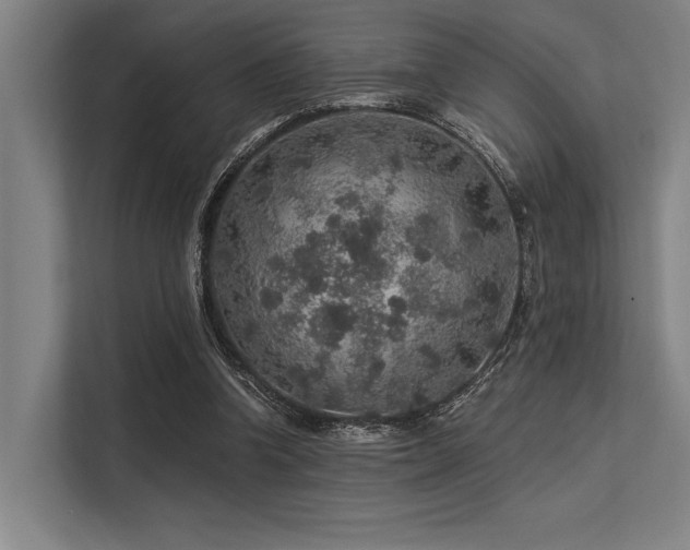 X0000113570346200909181251
