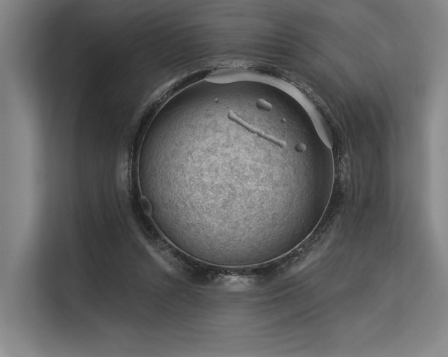 X0000113570352200909181252