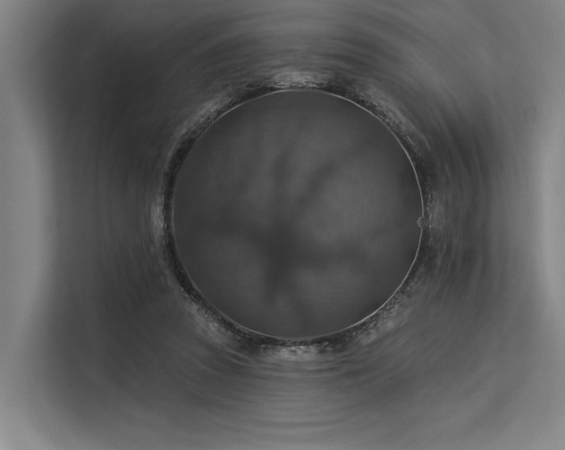 X0000113570353200909181252