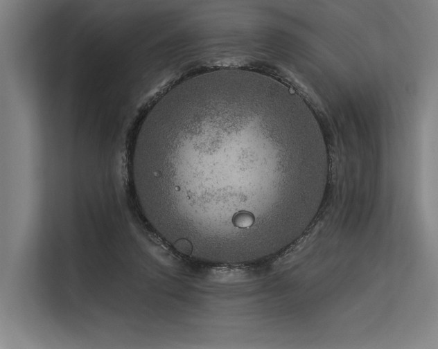 X0000113570354200909181252