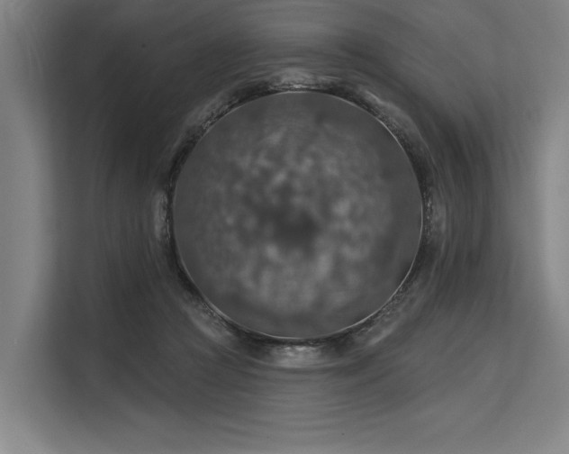 X0000113570361200909181252