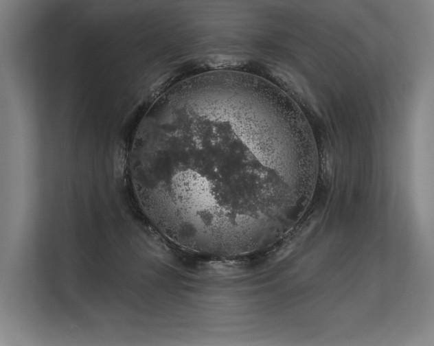 X0000113570367200909181252