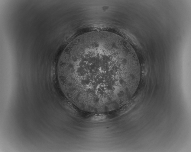 X0000113570369200909181252