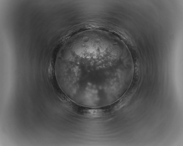 X0000113570371200909181252