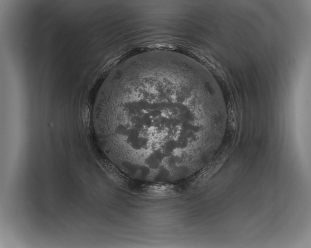 X0000113570375200909181252