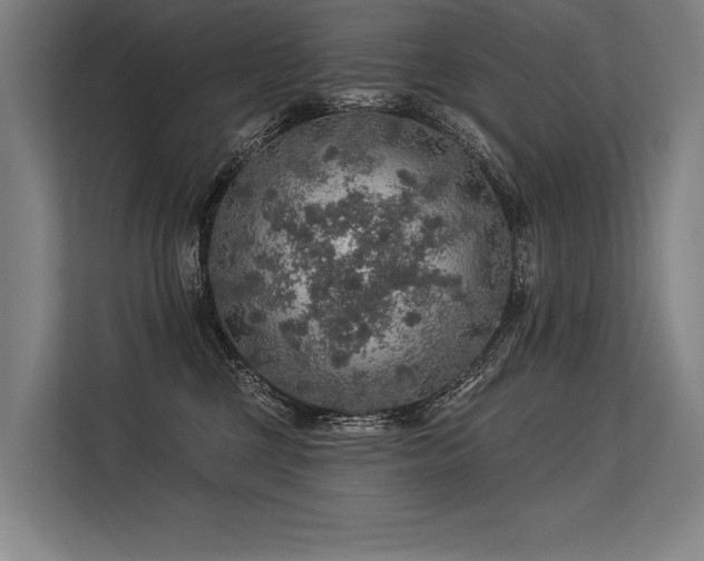 X0000113570377200909181252