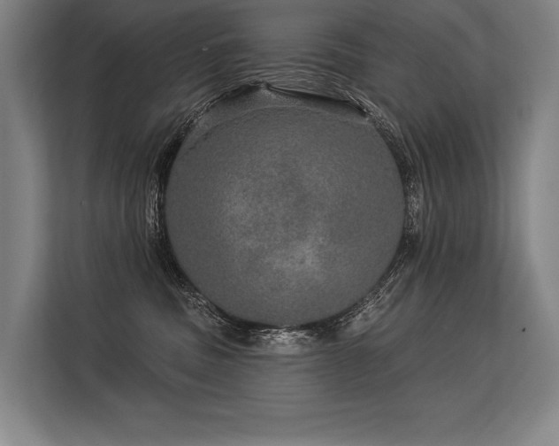 X0000113570379200909181252