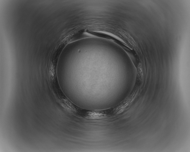 X0000113570380200909181252
