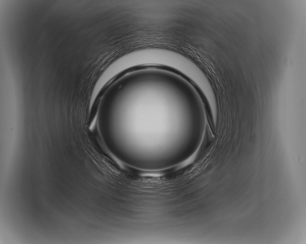 X0000113570384200909181252