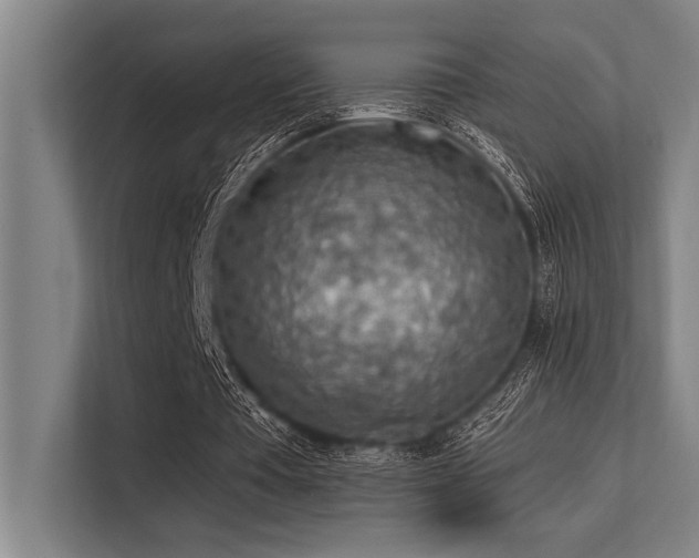 X0000113570385200909181251