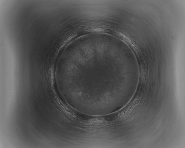 X0000113570386200909181251