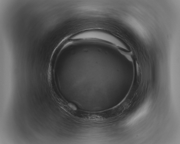 X0000113570387200909181251