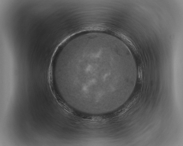 X0000113570388200909181251