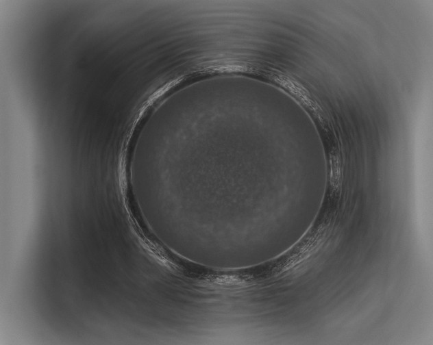 X0000113570390200909181251