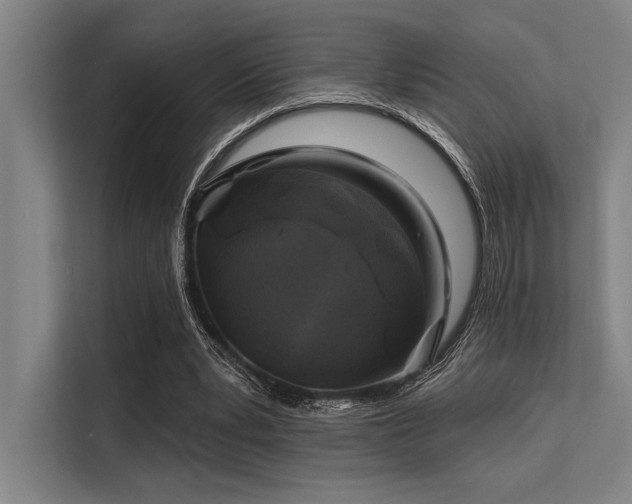 X0000113570391200909181251