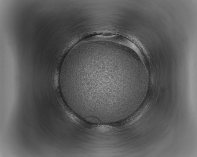 X0000113570393200909181251
