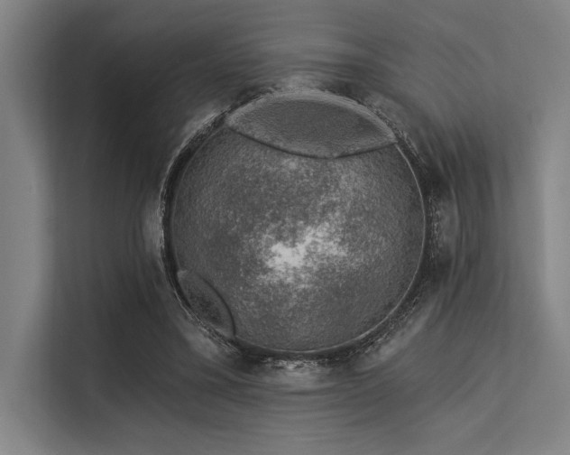 X0000113570395200909181251