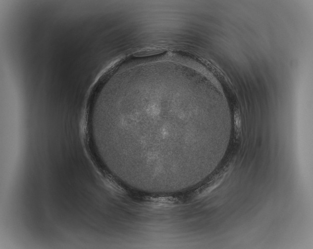 X0000113570396200909181251