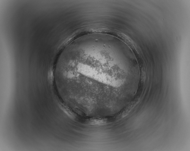 X0000113570405200909181251