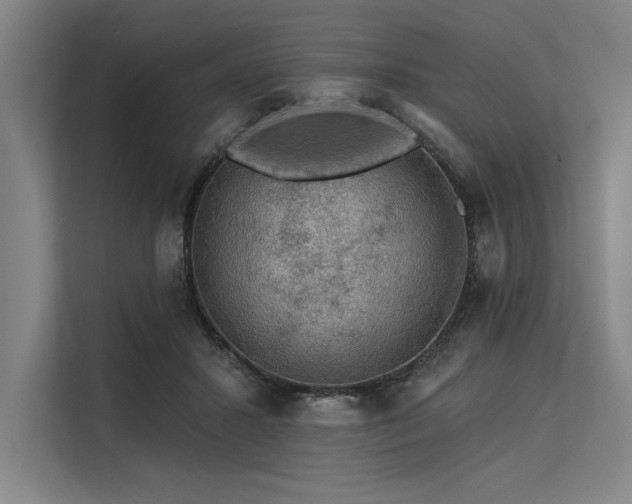 X0000113570407200909181251