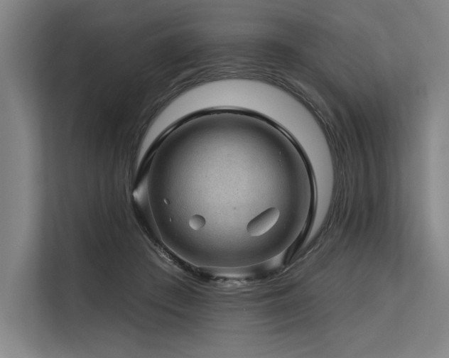 X0000113570409200909181251