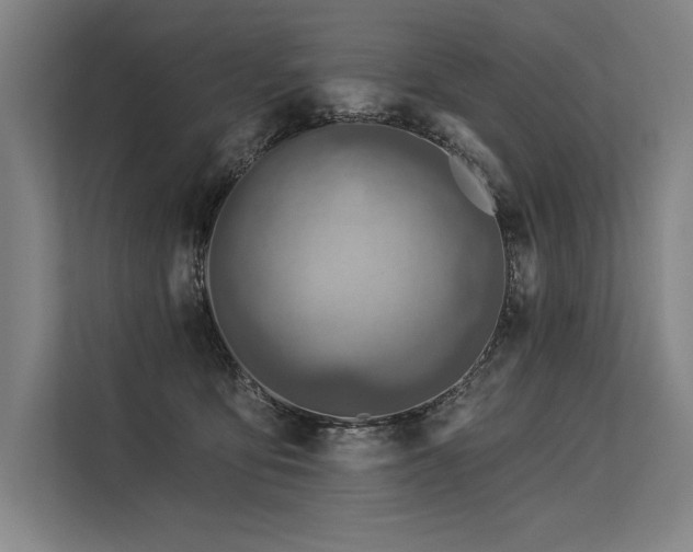 X0000113570419200909181251