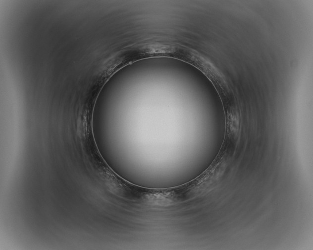X0000113570422200909181251