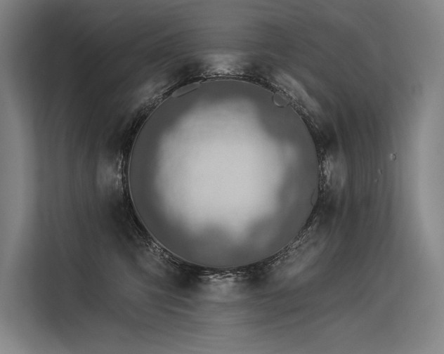 X0000113570423200909181251