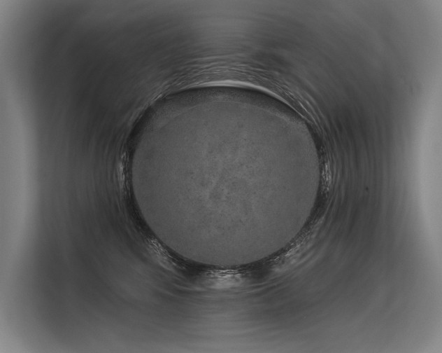 X0000113570424200909181251