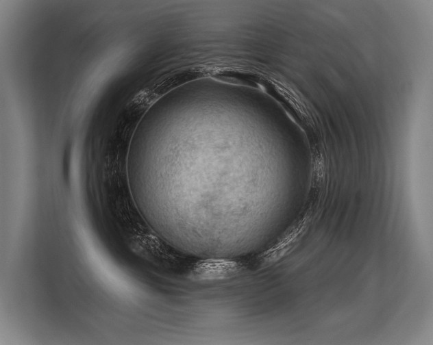 X0000113570429200909181251