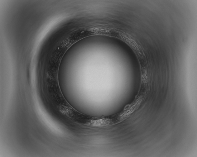 X0000113570430200909181251