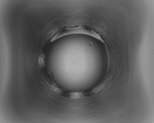 X0000113570432200909181251
