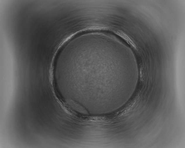 X0000113570436200909181250