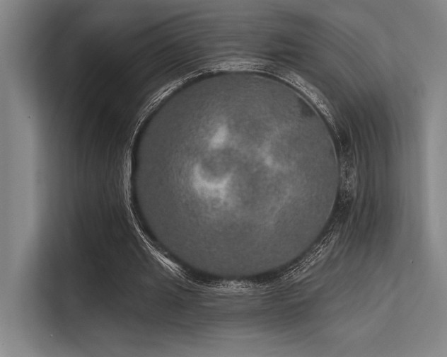 X0000113570437200909181250