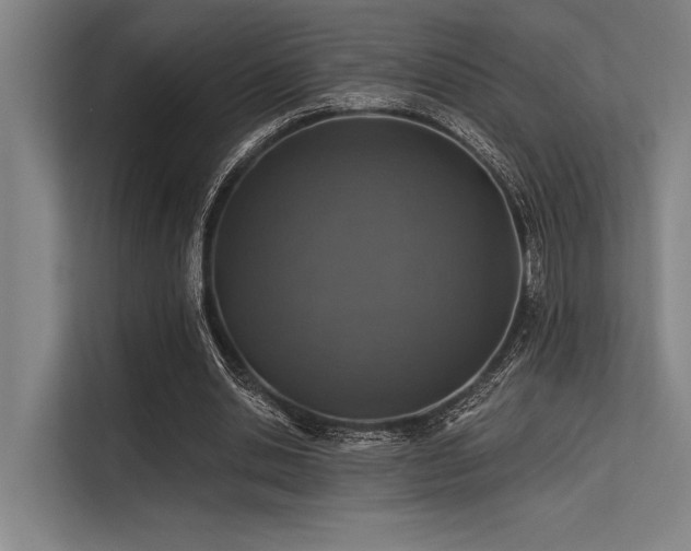 X0000113570438200909181250