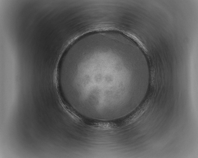 X0000113570439200909181250