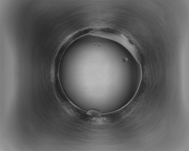 X0000113570440200909181250