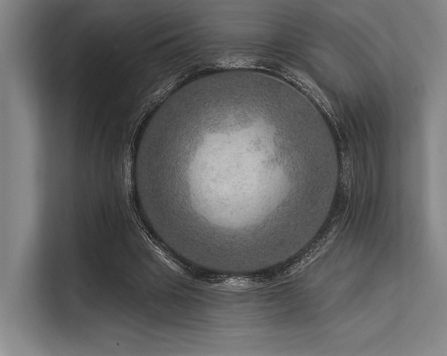 X0000113570441200909181250