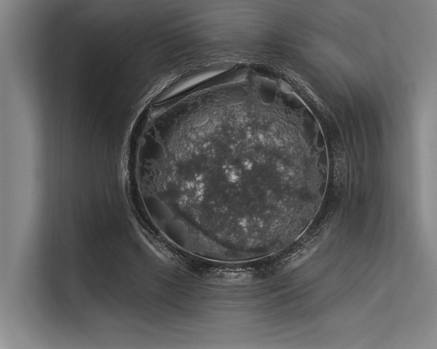X0000113570443200909181250