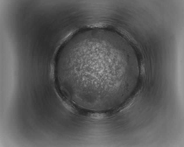 X0000113570444200909181250